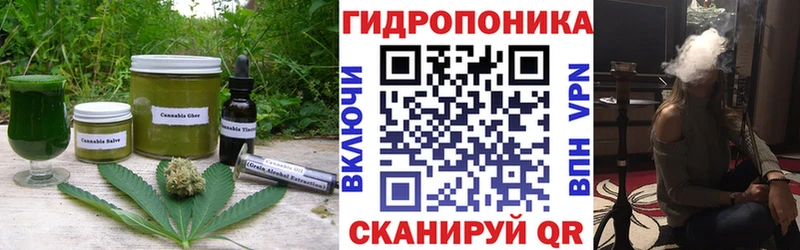 блэк спрут ссылка Черняховск Canna-Cookies конопля