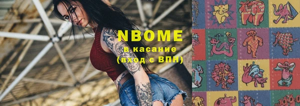 прущие грибы Арсеньев
