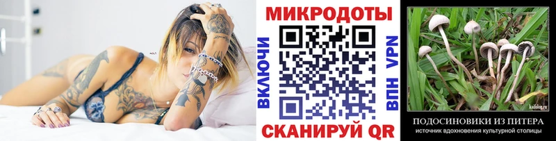 Галлюциногенные грибы Magic Shrooms  хочу наркоту  omg как войти  Черняховск 